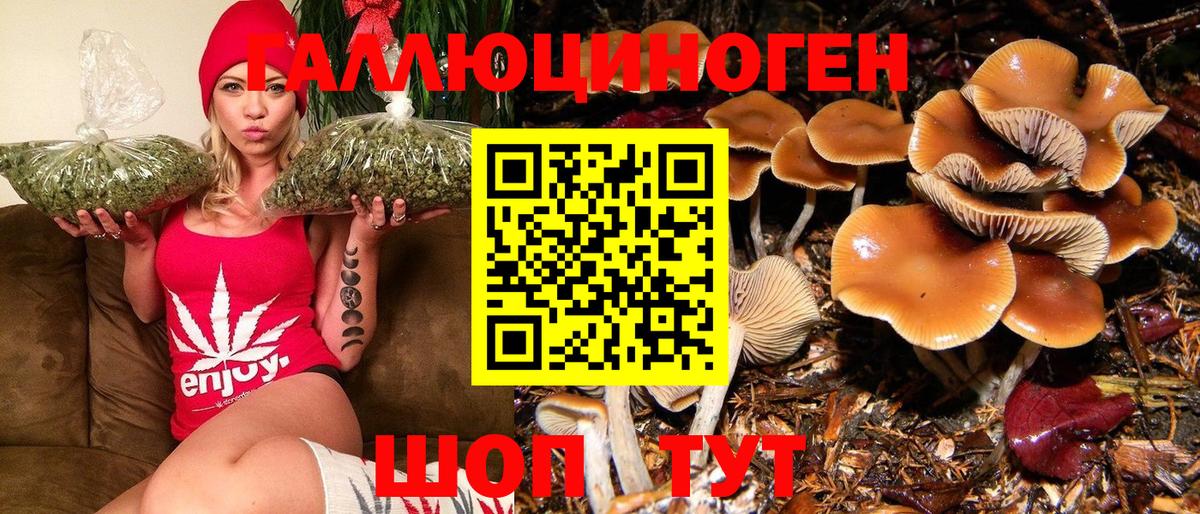 Галлюциногенные грибы Psilocybe  Галлюциногенные грибы мухоморы  Великие Луки  где продают   Вход с VPN 
