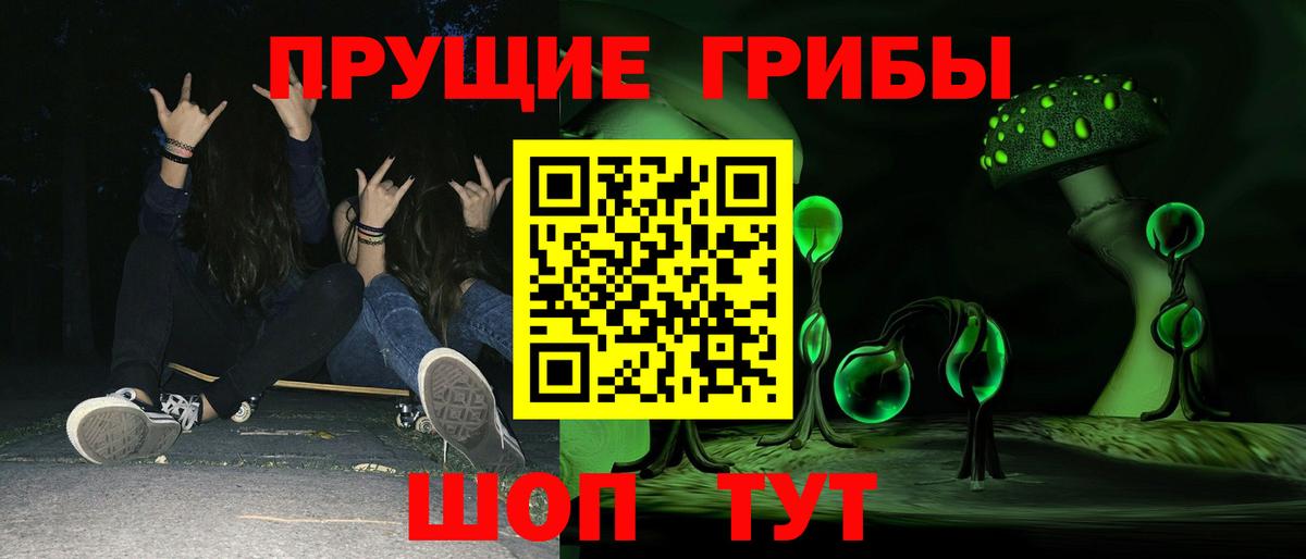 Псилоцибиновые грибы мицелий Великие Луки
